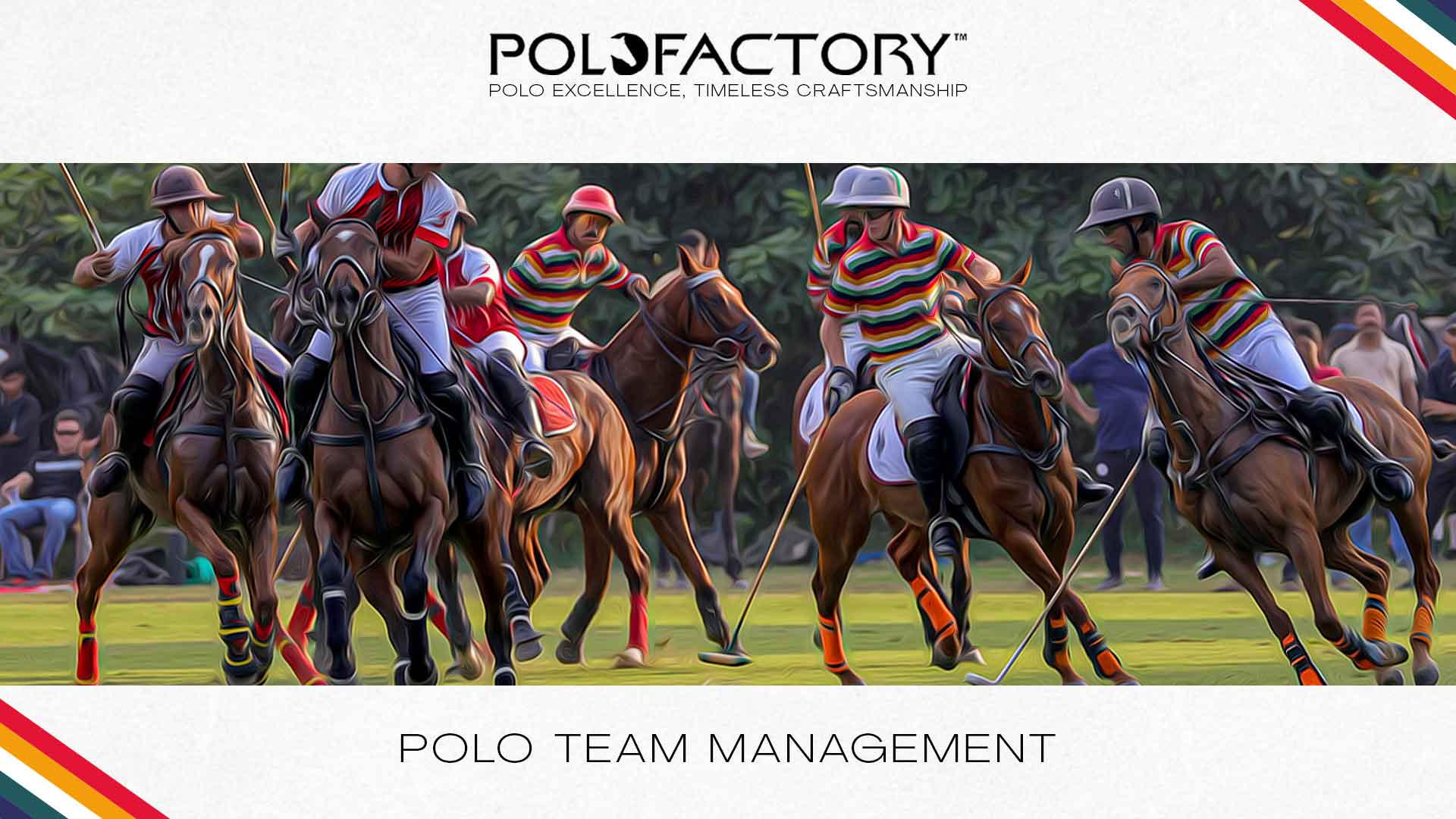 jaipur-polo-team-management-min